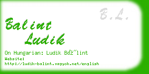 balint ludik business card